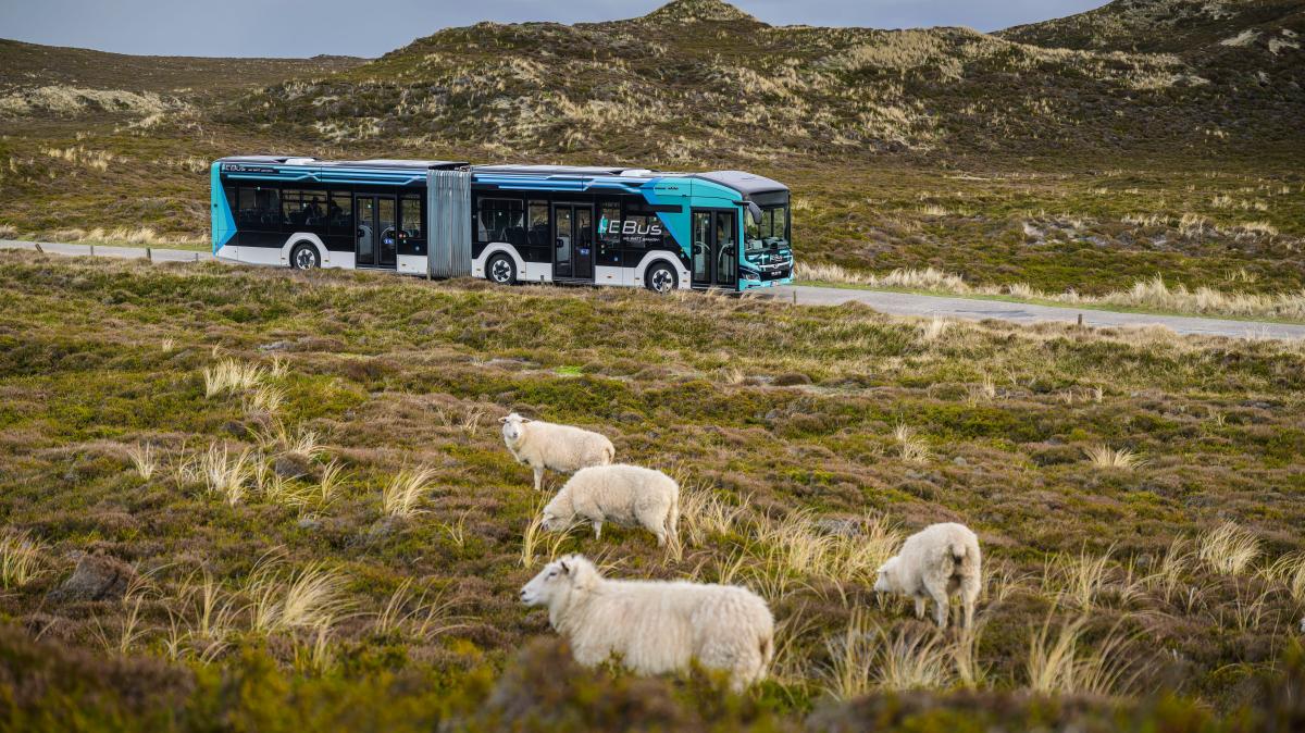 Insel Bus Bus statt Auto auf Sylt: So profitieren Gäste und die Insel