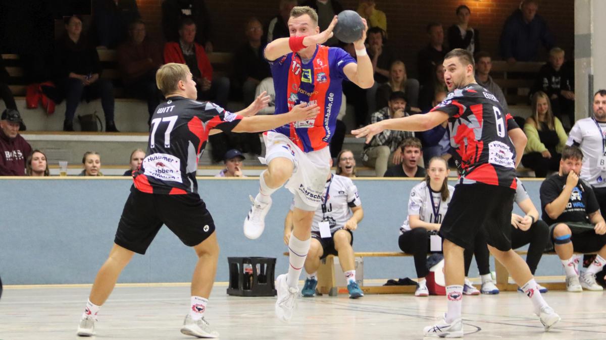 HandballSHLiga HSG Horst besiegt Mildstedt Bulls SHZ