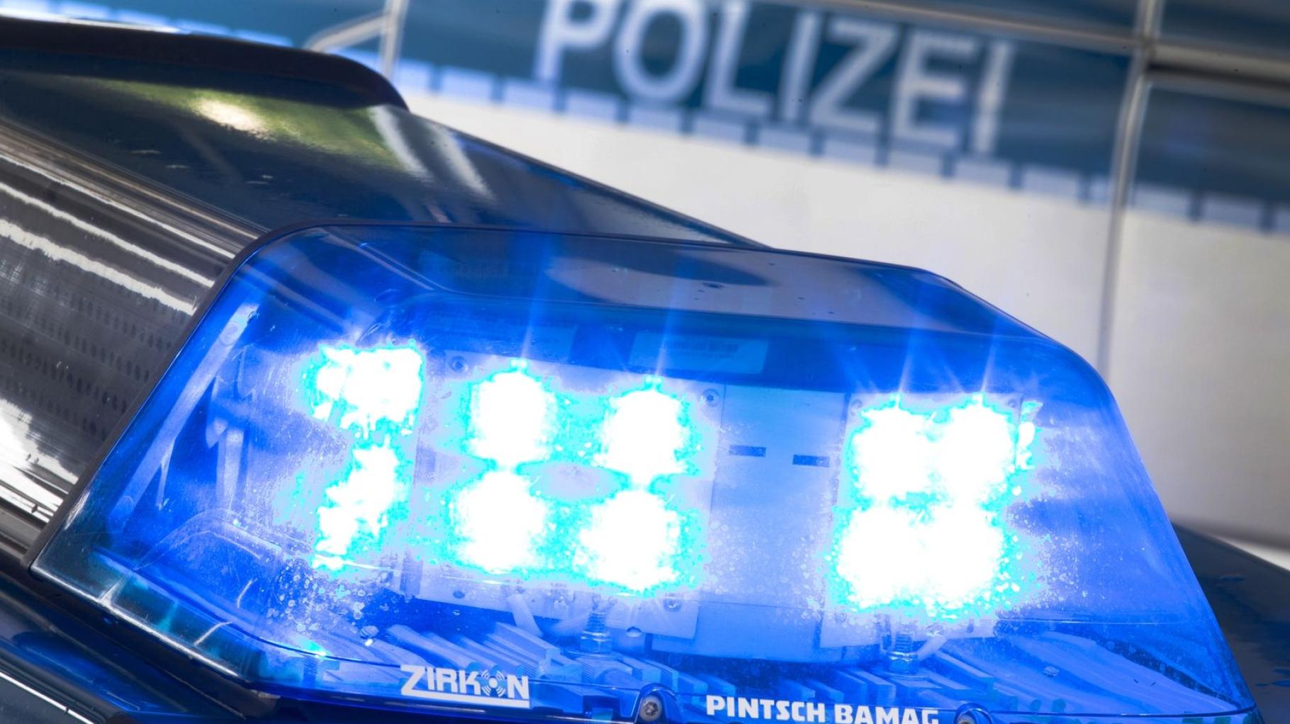 Polizei ermittelt wegen angeschossener Taube in Schwerin