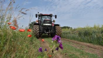 Bauern und Naturschutz: Modellprojekt soll ausgedehnt werden
