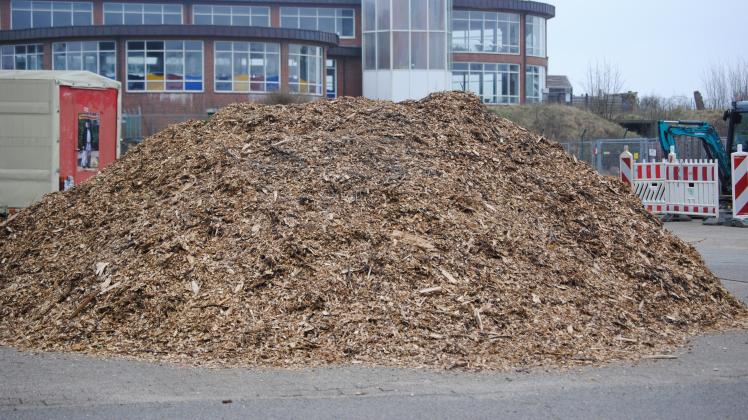 Baumschnitt Holzhäcksel gibt es auf Föhr umsonst SHZ