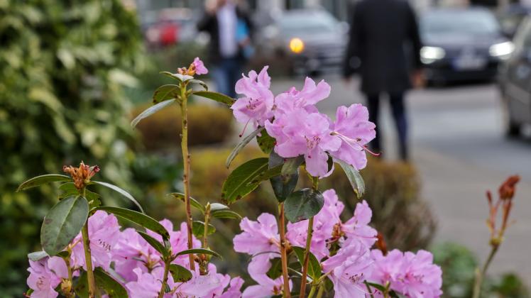 Frhlingshafte Tage  und dann? Das Wetter in Region Osnabrck