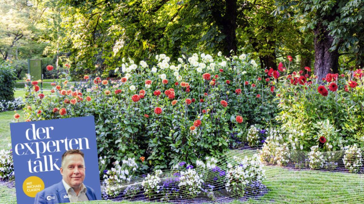 Expertentalk Ab ins Beet! Tipps für Ihren Garten vom Rasenpapst und