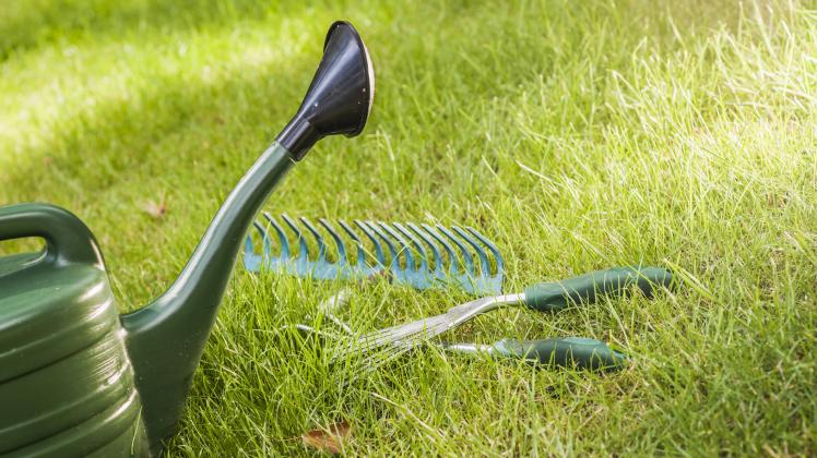 Düngen, vertikutieren, mähen Tipps zur Rasenpflege im Frühling