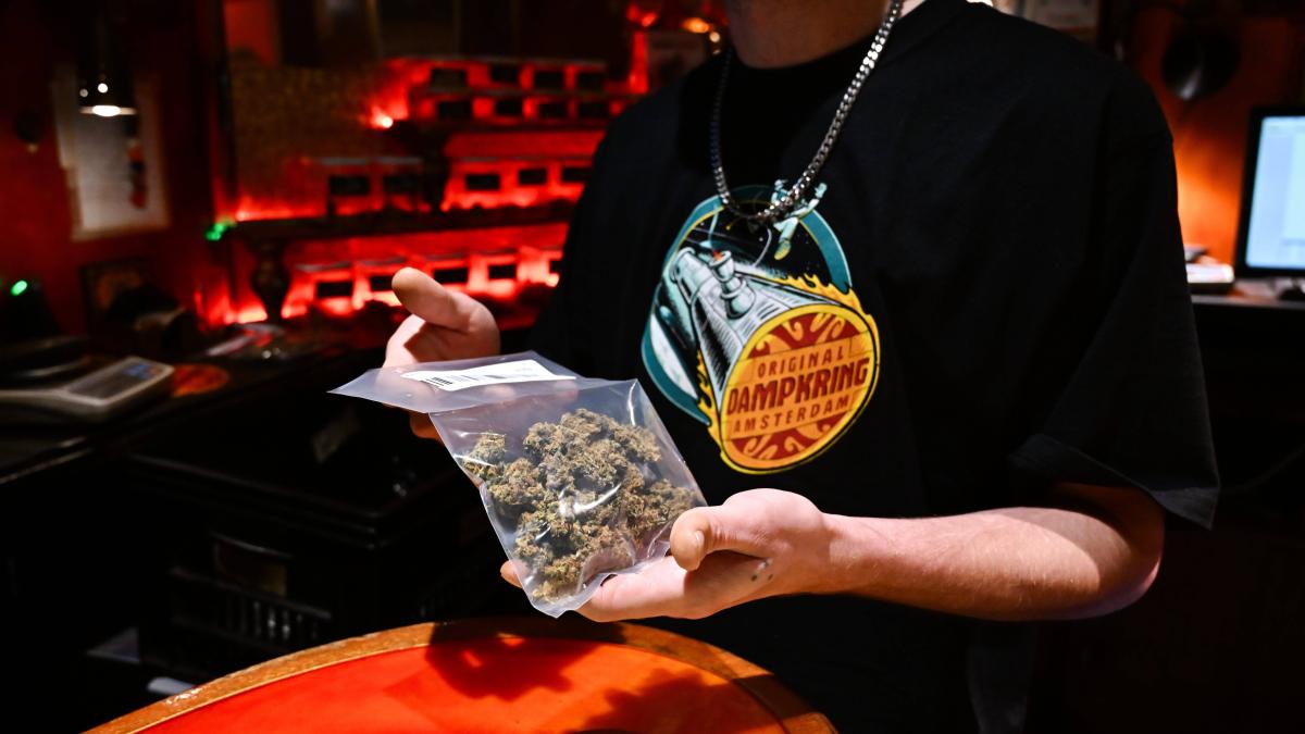 Cannabis Darf ich jetzt Gras aus den Niederlanden mitnehmen?
