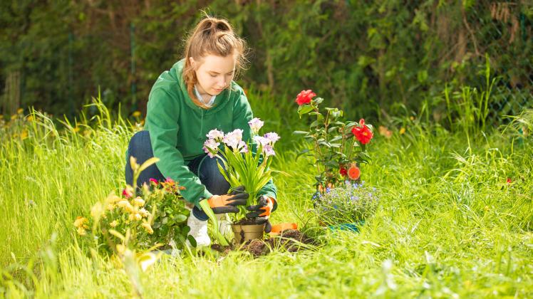 Kleingarten oder Was ist die Faszination Garten?