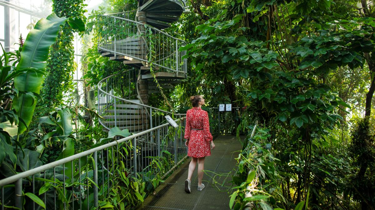 Sommersaison im Botanischen Garten Osnabrück beginnt im April