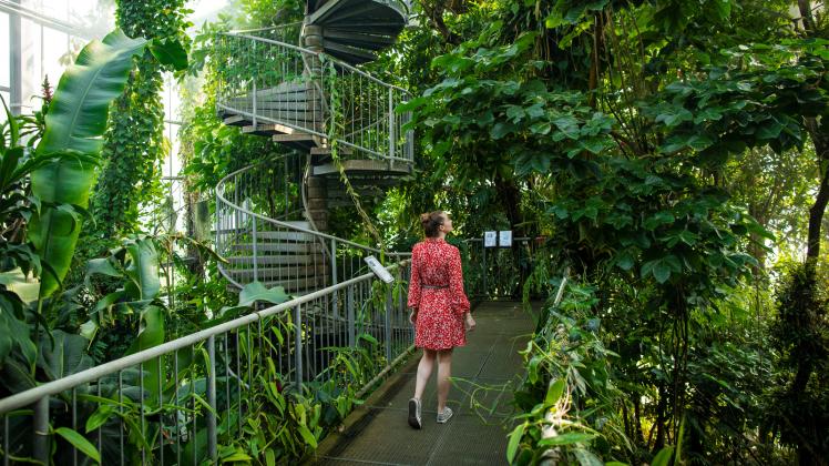 Sommersaison im Botanischen Garten Osnabrück beginnt im April
