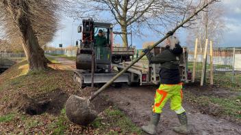 Mehr Grün für Bützow: 20 neue Bäume wurden im Herbst 2023 am Wall gepflanzt. Ein Projekt aus dem 4. Bützower Bürgerhaushalt.