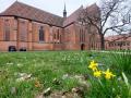 Ostern ist für die christliche Kirche eine ganz besondere Zeit. So auch für die Mitarbeiter der Domgemeinde in Güstrow.