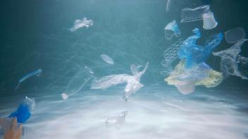 Studie: Bis zu elf Millionen Tonnen Plastikmüll auf dem Meeresgrund