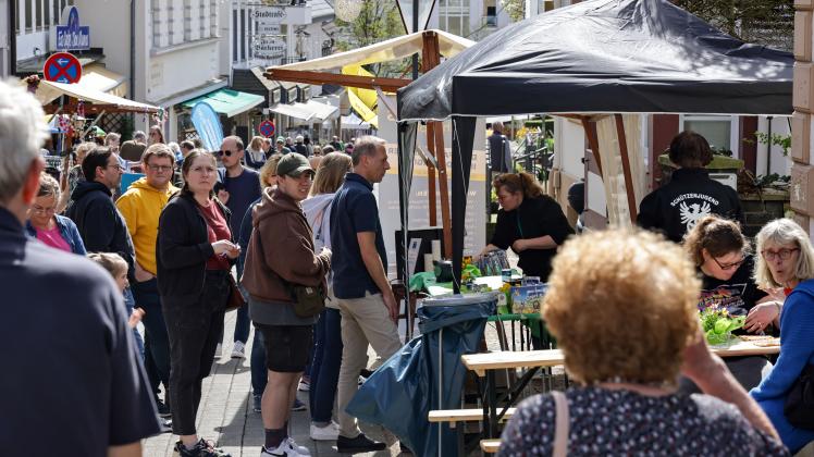 Kunst, Kultur und Sonne satt: Viel los beim Bad Iburger Blumensonntag