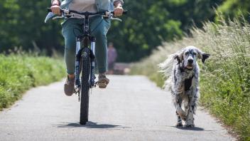 Tier auf Trab: 8 Tipps fürs Radeln mit Hund