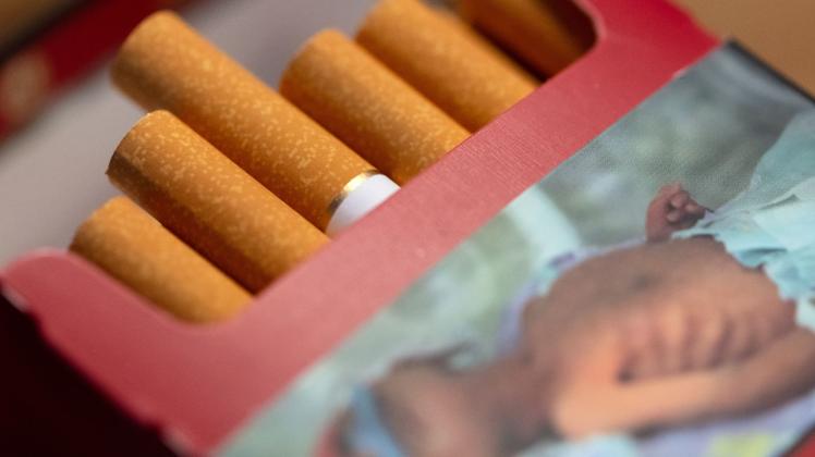 elfbar elfa master akku Niederlande verbietet E-Zigaretten mit Aroma