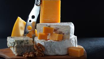 Various types of cheese, hard-cheese, soft-cheese, emmental, Various types of cheese, hard-cheese, s