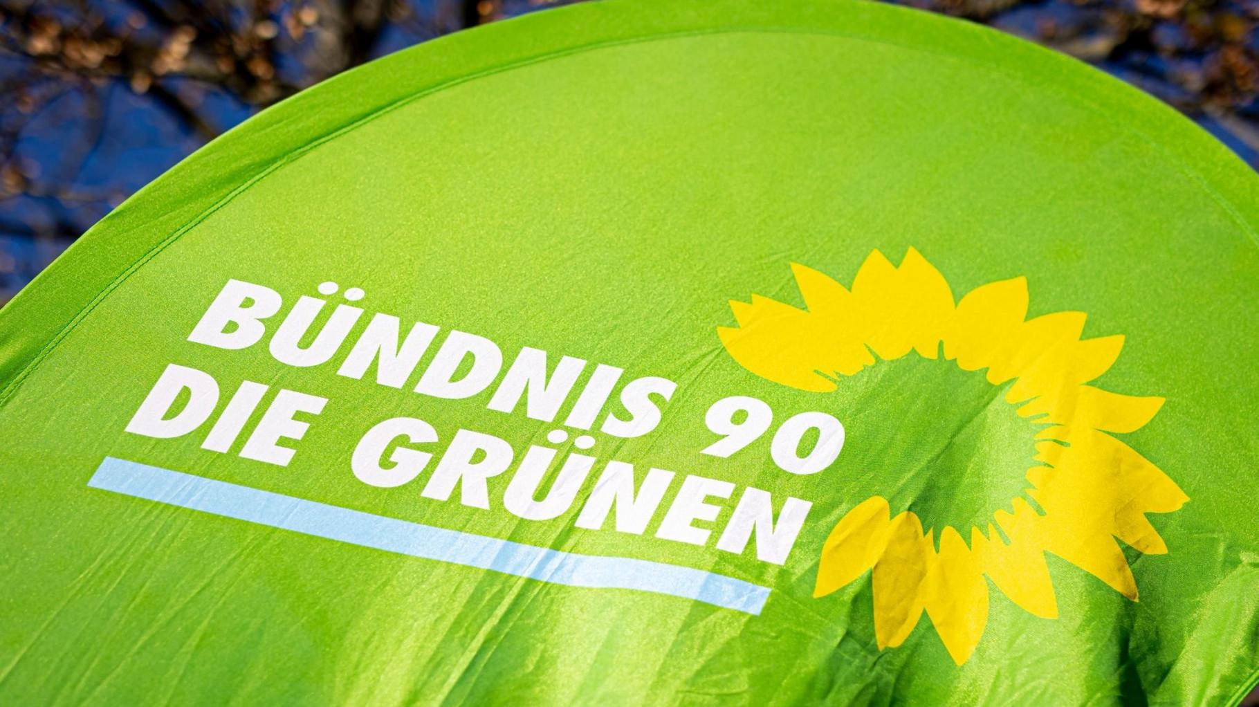 Grüne MV diskutieren AfD-Verbot