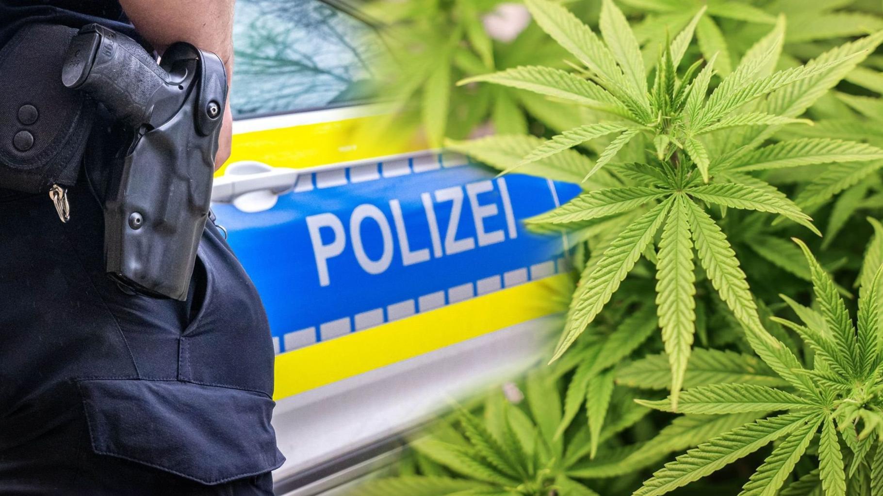 Cannabis-Legalisierung in MV: Neue Polizei-Regeln zu Gras, Konsum und Anbau