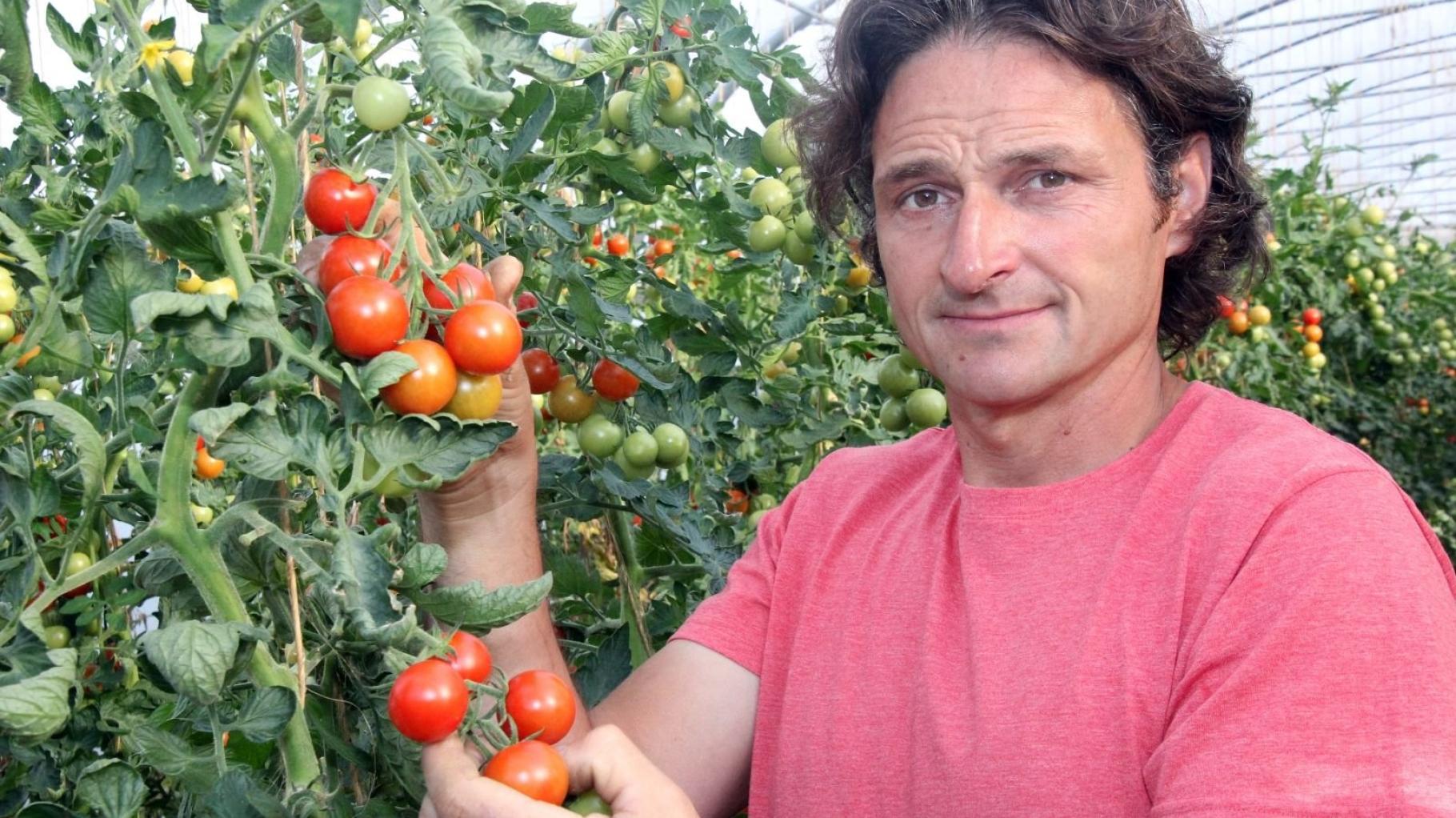 Tomaten selbst ziehen: „Tomaten-König“ Frank Wonglorz sagt, wie es geht
