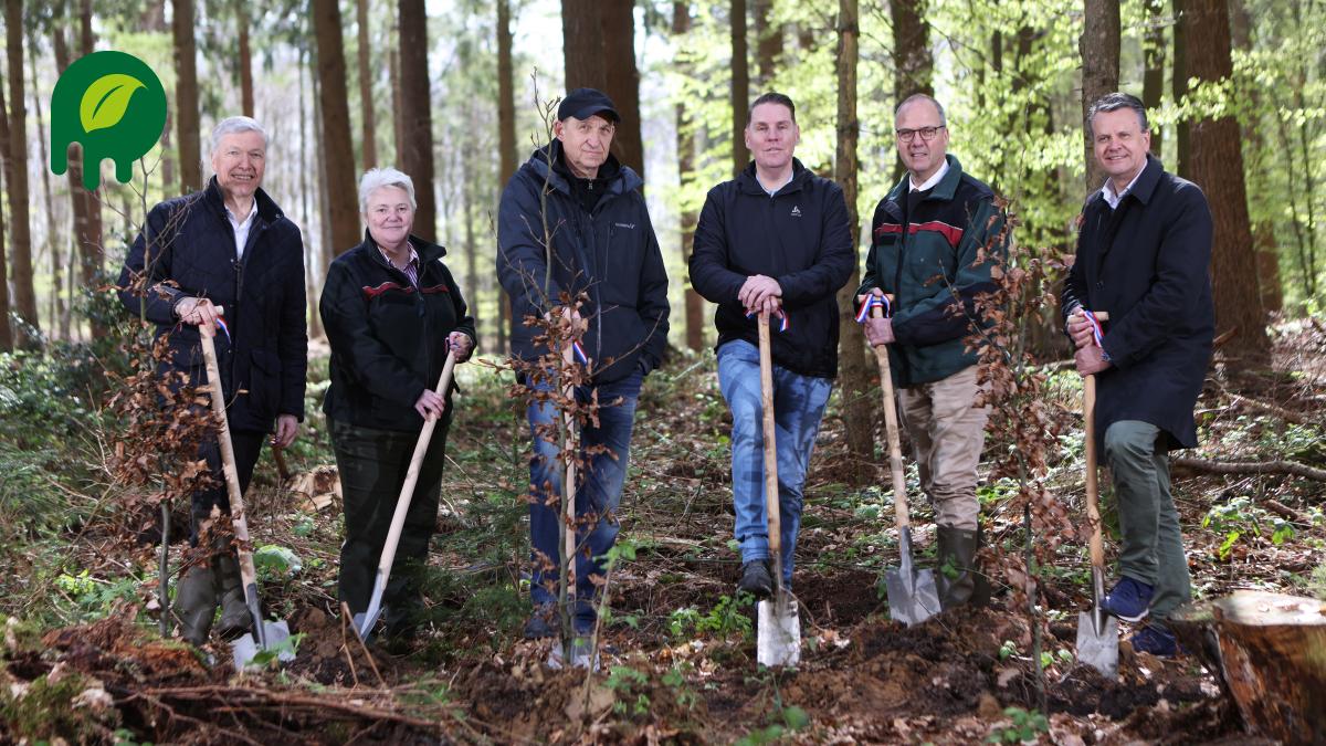 Baum für Baum für SH bringt 9000 neue Bäume für Landesforsten