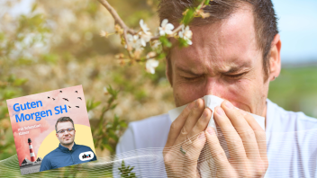 Die Zahl der Allergiker nimmt zu – vor allem in den Städten.