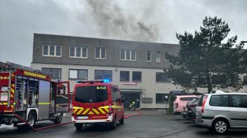 Auch die Nachbarwehren aus Kummerfeld, Pinneberg und Tornesch waren am Einsatz beteiligt. Die Brandursache ist bislang ungeklärt. 