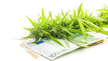 Marijuana buds. Cannabis plant and paper euro banknotes isolated on white background. Marijuana buds. Cannabis plant and