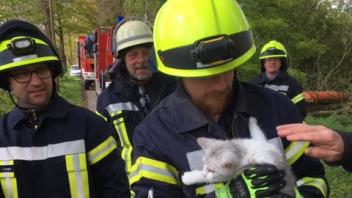 Glücklich wieder auf dem Boden angekommen: Brockumer Feuerwehr rettetet eine kleine Katze von einem Baum.