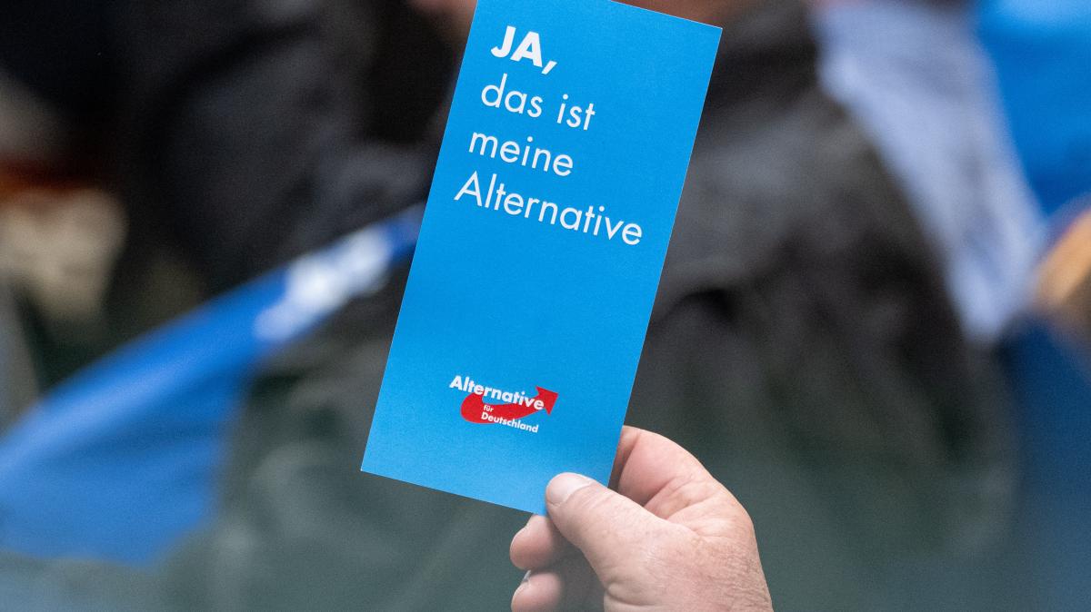 Warum immer mehr Jugendliche die AfD wählen würden