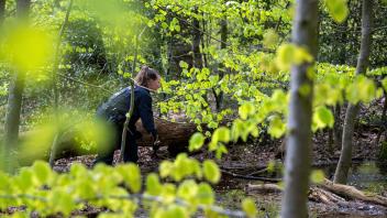 Einsatzkräfte durchsuchen ein Waldstück. Mehr als dreihundert Einsatzkräfte suchen seit Montagabend nach einem vermissten sechs Jahre alten Kind im niedersächsischen Bremervörde.