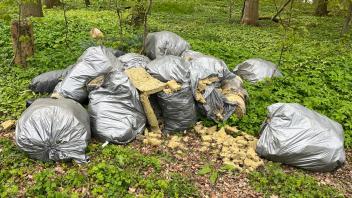 In einem Waldstück zwischen Röbel und Süsel haben unbekannte Täter 20 Müllsäcke illegal abgeladen. Die Polizei sucht nun nach Zeugen und Hinweisgebern.