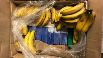 Kokain-Fund in Bananen-Karton in Attendorn