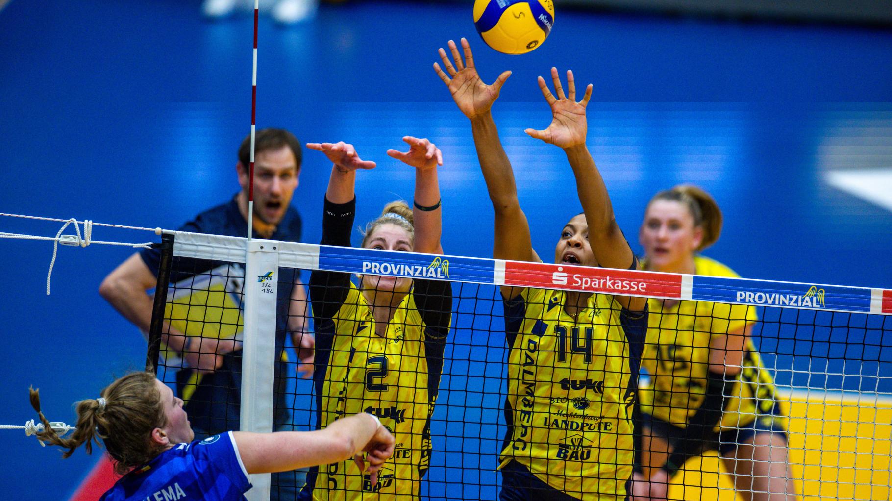 Sorgen in Volleyball-Bundesliga: „Brauchen einen Krisenplan“