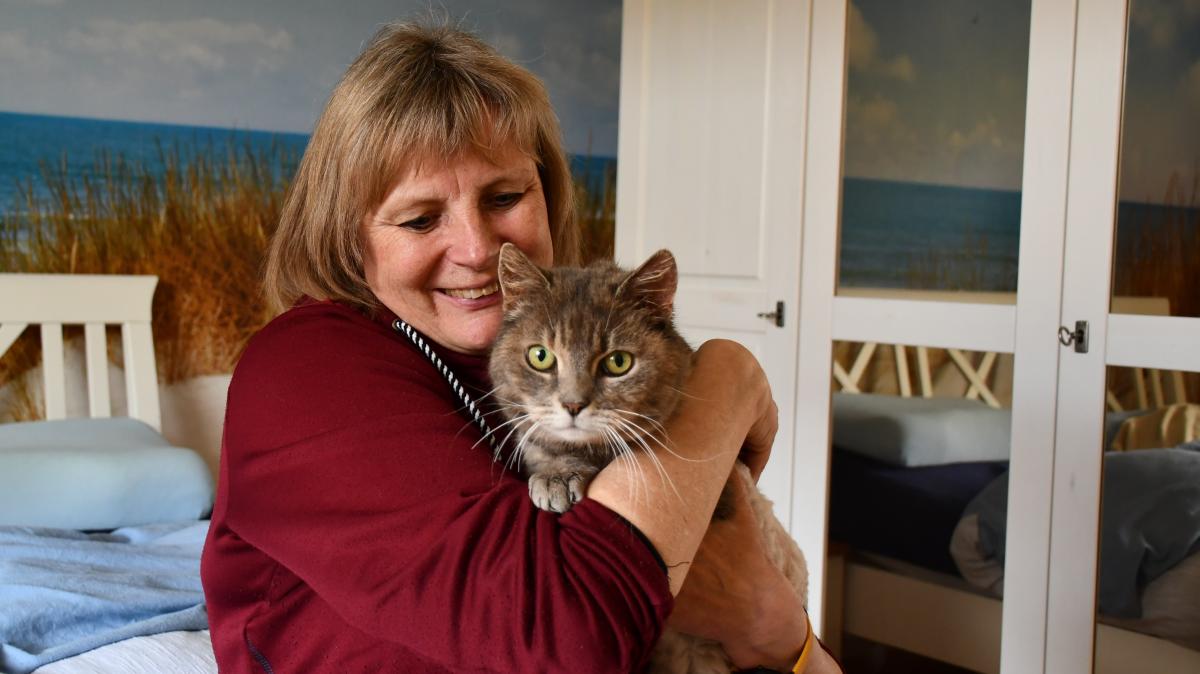 Lost cat returns to her family after 10 years