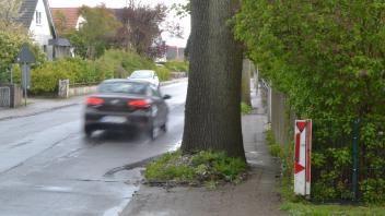 Weil die Bäume im hinteren Teil der Lütjenburger Straße kaum noch Platz für Fußgänger lassen, soll dort der Gehweg wegfallen. Damit Fußgänger gefahrlos auf den gegenüber liegenden Gehweg gelangen, ist eine Querungshilfe geplant. 