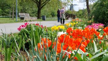 Frühling Stadtpark Papenburg Ende April 2024