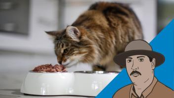 Mahlzeit: Im Hause Tropen-Helmut spielen Katzen eine tragende Rolle.