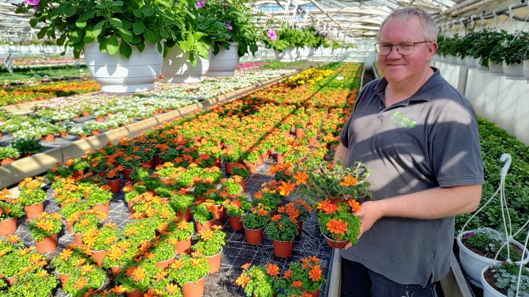 Tipps für den Saisonstart Was jetzt im Garten wichtig ist SHZ