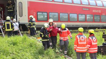 Großübung der Hilfskräfte in Neustadt: Über Steckleitern wurden die von Mitgliedern der DLRG verkörperten Verletzten aus dem Zug und vom Bahndamm gerettet.