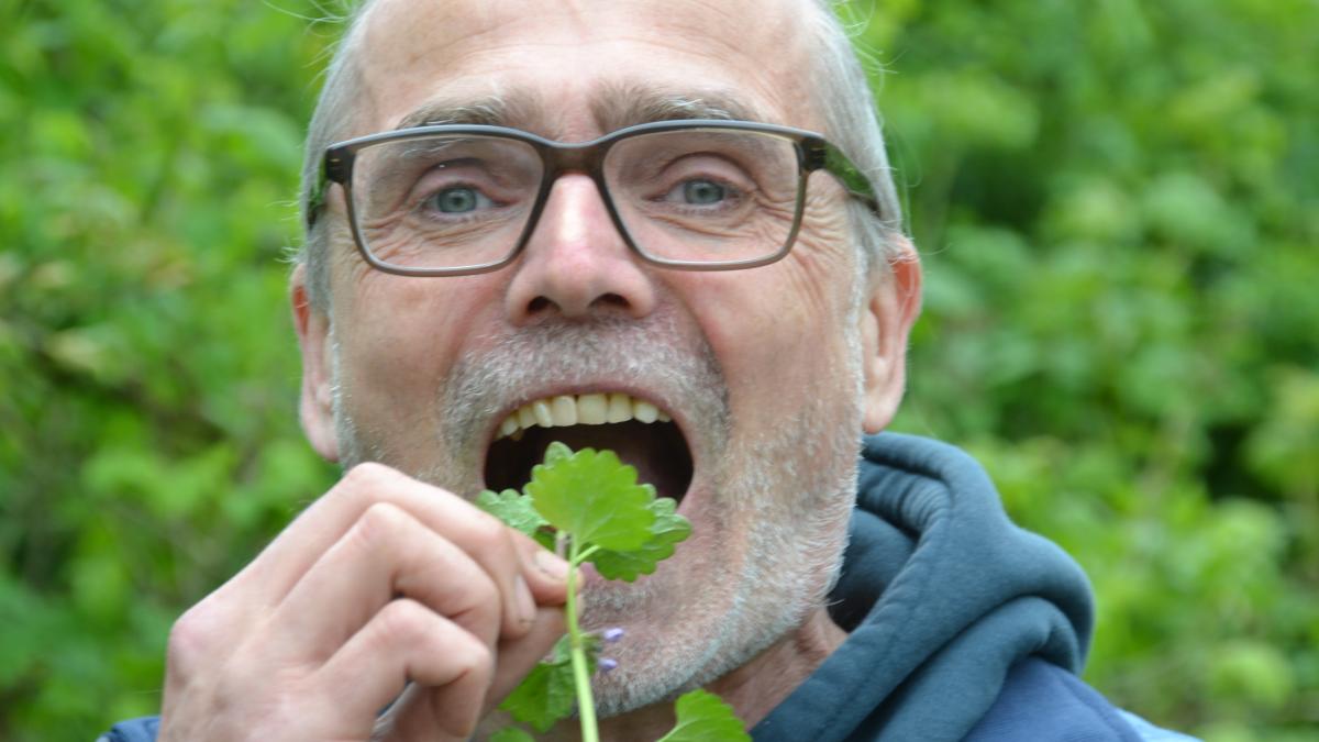 Giersch: Darum ist das Unkraut ein gesundes Superfood | NOZ