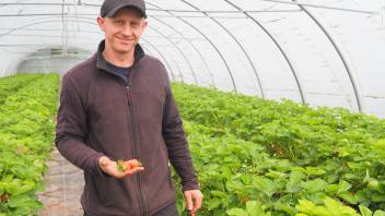 Felix Ladiges baut auf einer Fläche von sechs Hektar in Lutzhorn Erdbeeren an.
