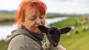 Fotos von Ulrike Meyerfrankenfeld und ihren Schafen