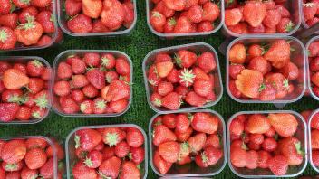 In keinen Schalen sind Erdbeeren verpackt und werden auf einem Tisch angeboten. 