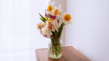 Spring flowers in a jar, indoors seasonal decoration, background with copy space