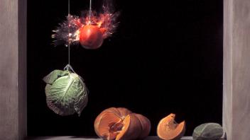 Ori Gersht: Pomegranate, 2006, Video.