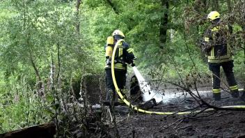 Waldbrand in Georgsmarienhütte: Frau alarmiert rechtzeitig die Feuerwehr