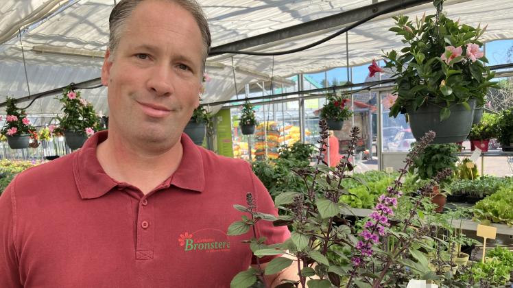 Gärtner erklärt So werden Garten und Balkon bienenfreundlich