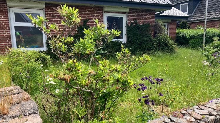 Wettbewerb Stadt Husum sucht den schönsten