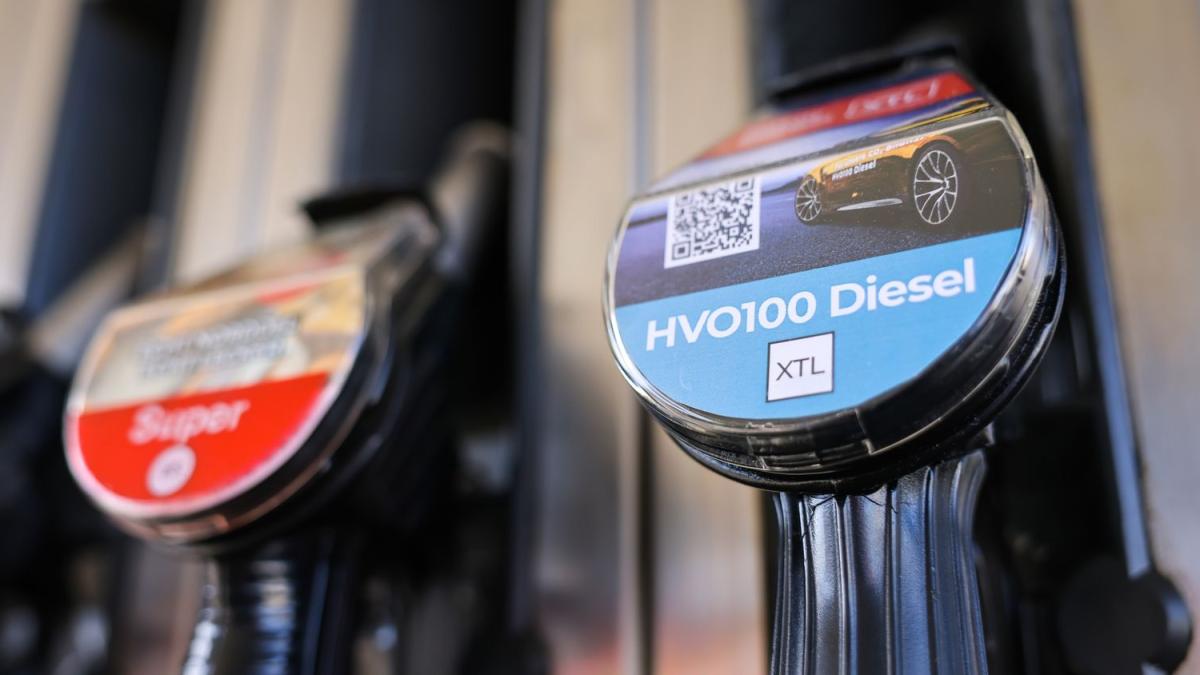 G NSTIG TANKEN BENZIN DIESEL HVO100 UND ERDGAS CNG PREISE visual data 3