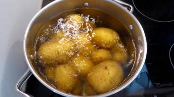Kartoffeln / Kartoffel / kochen / auf dem Herd/ Topf Kartoffeln / Kartoffel / kochen / auf dem Herd/ Topf *** Potatoes C