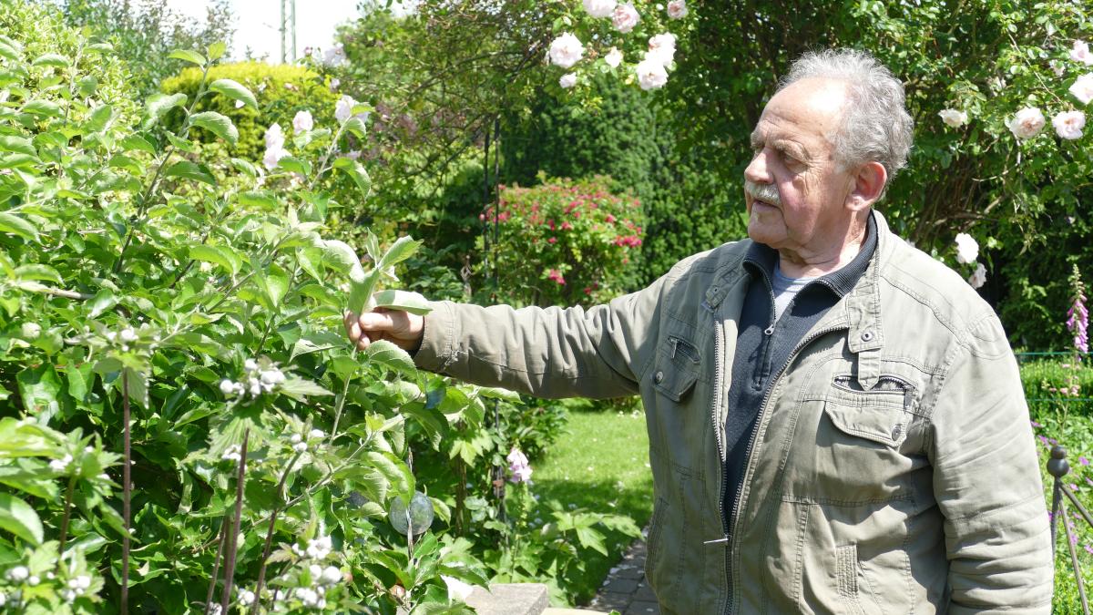 80jähriger HobbyGärtner zeigt seinen PrivatPark in Bargteheide SHZ